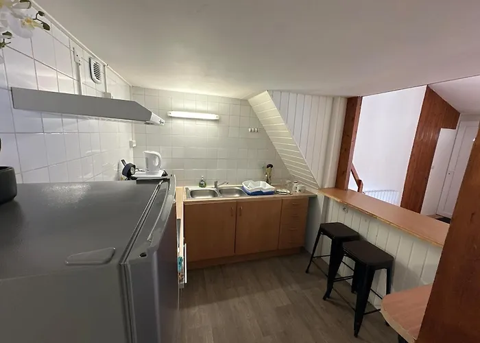 Bel Et Garage Appartement Anzin