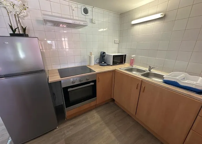 Appartement Bel Et Garage Anzin